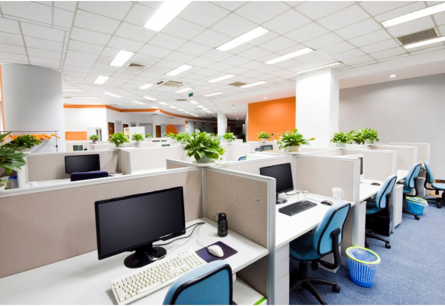 ¿Qué beneficios aporta tener plantas de oficina en el puesto de trabajo?